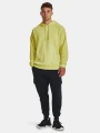 pol_pm_Bluza-meska-z-kapturem-Under-Armour-1379757-743-55450_3.webp