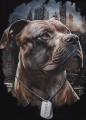 pit-bull-koszulka-meska-hero_5_grande.jpg